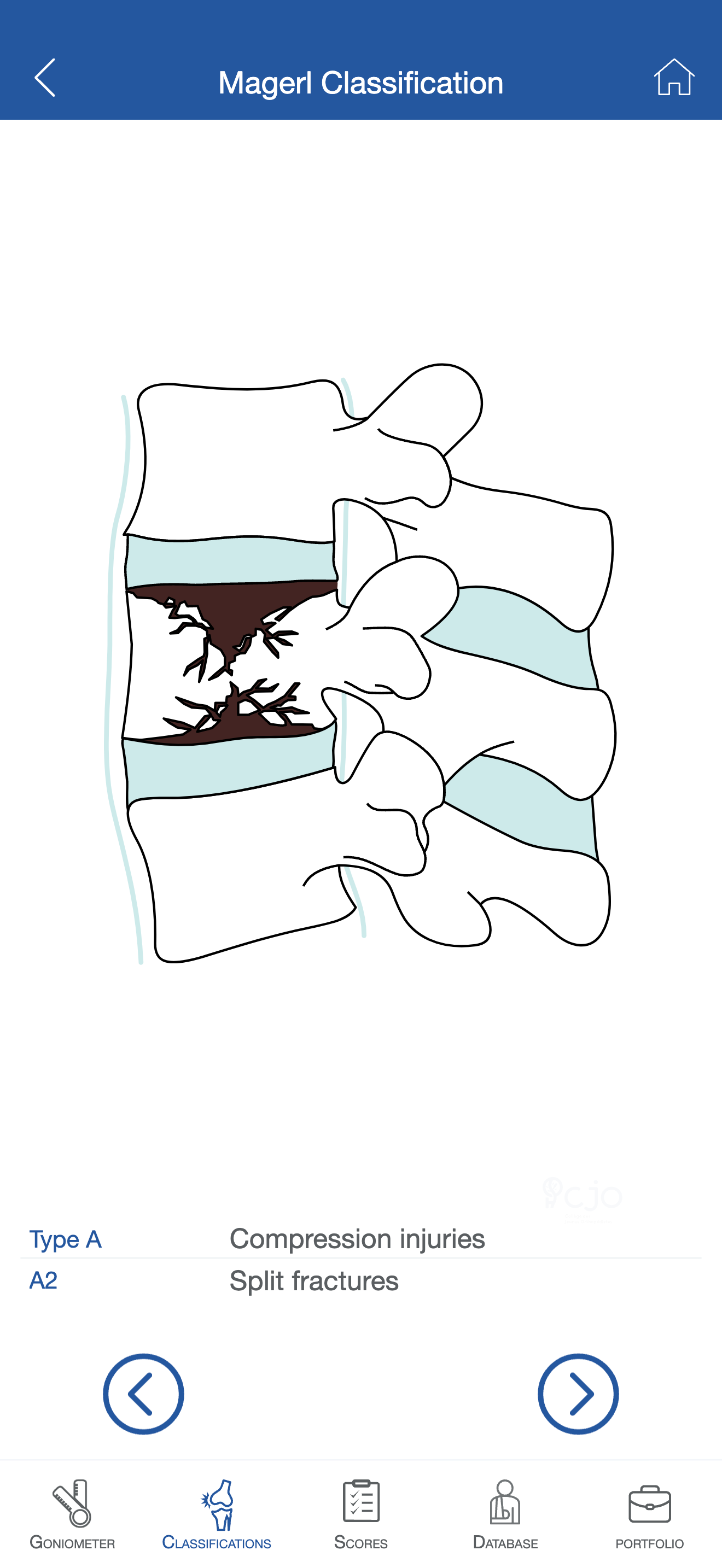 CJOrtho Classification